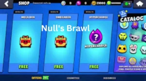 Null's Brawl